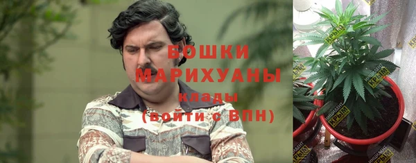 мяу мяу мука Новодвинск