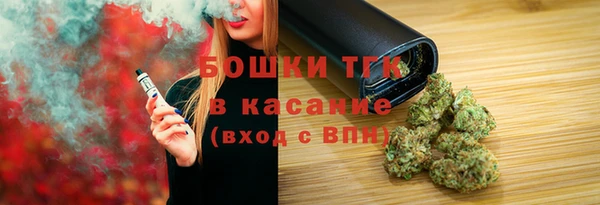 стафф Новозыбков