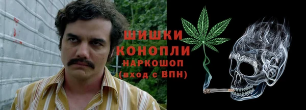 стафф Новозыбков