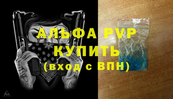 стафф Новозыбков