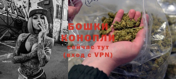 стафф Новозыбков