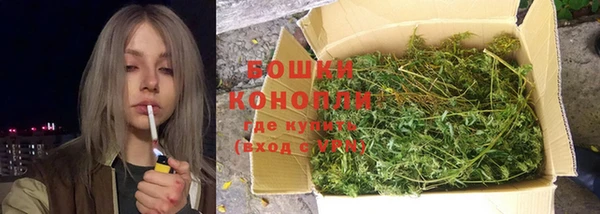 стафф Новозыбков